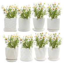 habitat planter pots Virago 5" Planter Pots – Habitat Plants + Coffee