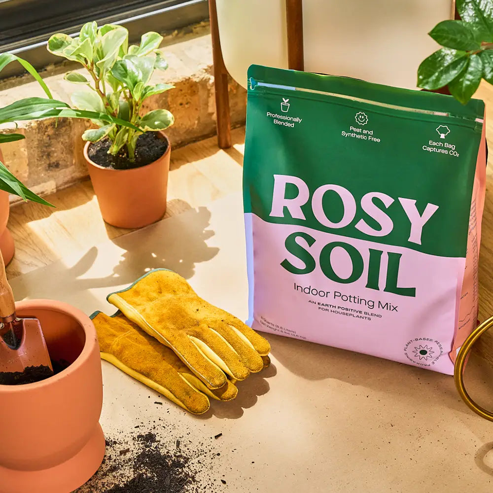 Rosy Soil - 8qt Organic Potting Soil Mix