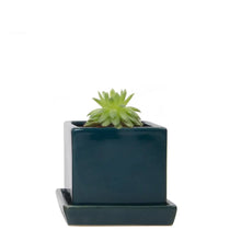 Load image into Gallery viewer, Square Pot with Tray 2.5&quot;
