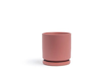 Load image into Gallery viewer, 4.5&quot; Pot with Water Tray
