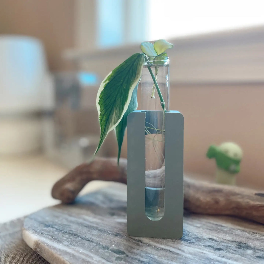 Glass Rootbox 3D Printed Glass Roots Propagation Station – Habitat Plants + Coffee