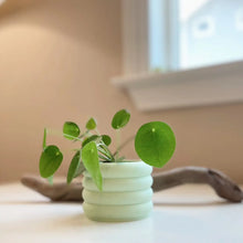 Load image into Gallery viewer, 3D Printed 2&quot; Bubble Pot
