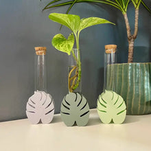 Load image into Gallery viewer, 3D Printed Monstera Propagation Station
