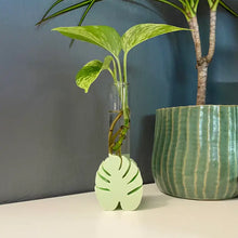 Load image into Gallery viewer, 3D Printed Monstera Propagation Station
