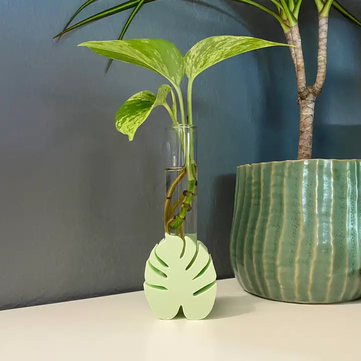monstera 3d 3D Printed Monstera Propagation Station