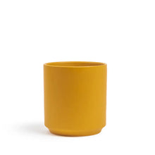Load image into Gallery viewer, 5" Cache Pot &amp; Flower Vase
