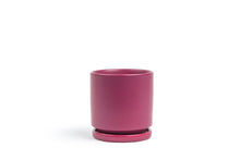 Load image into Gallery viewer, 4.5&quot; Pot with Water Tray
