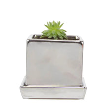 Load image into Gallery viewer, Square Pot with Tray 2.5&quot;

