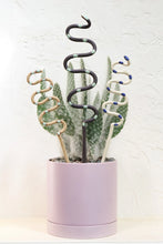 Load image into Gallery viewer, Medium Plant Snake Stake
