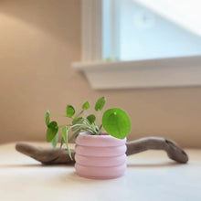 Load image into Gallery viewer, 3D Printed 2&quot; Bubble Pot

