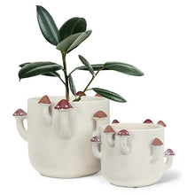 Load image into Gallery viewer, Sprouting Mushroom Planter
