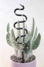 Load image into Gallery viewer, Large Plant Snake Stake
