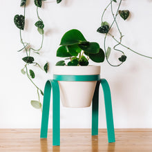 Load image into Gallery viewer, Metal Plant Stand with Pot
