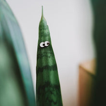 Load image into Gallery viewer, Googly Plant Eyes Sunglasses
