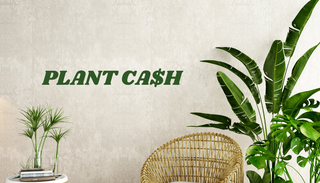 Plant Cash