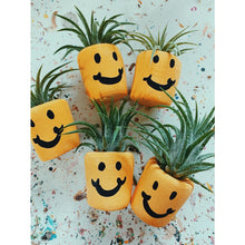 Load image into Gallery viewer, Smiley Face Mini Pot and Plant
