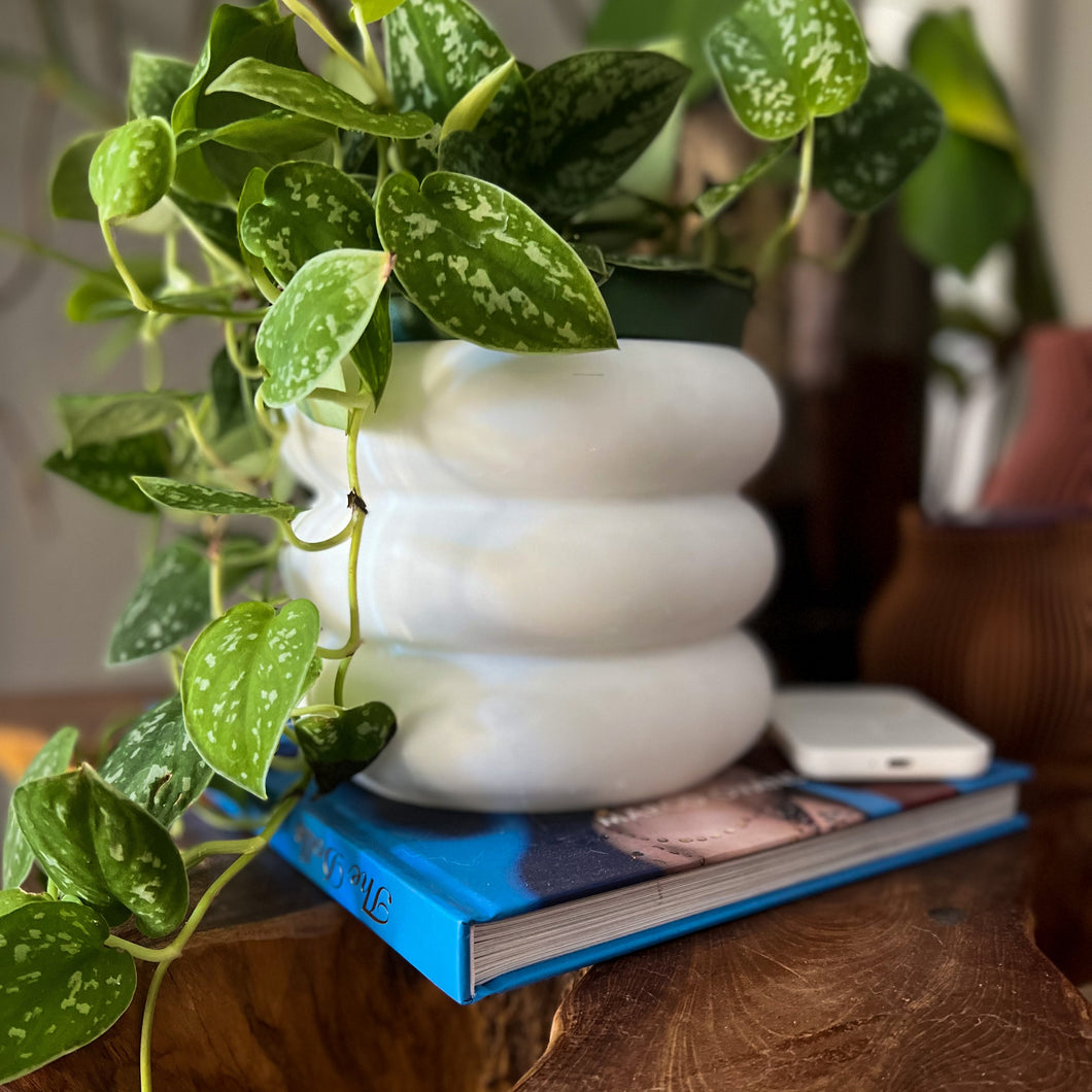 habitat plant pots 6" Bubble 3D Printed Pot – Habitat Plants + Coffee
