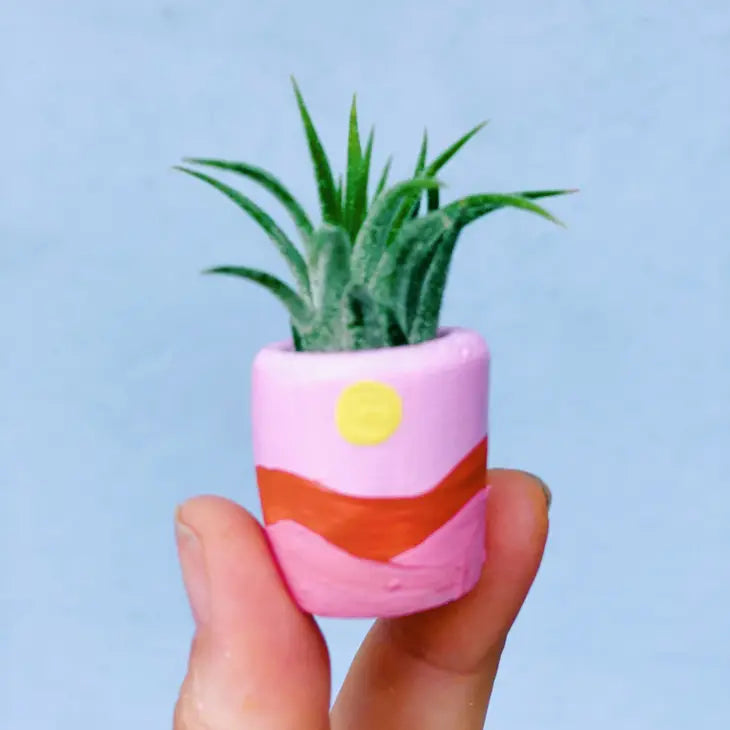 Pink Mini Pot