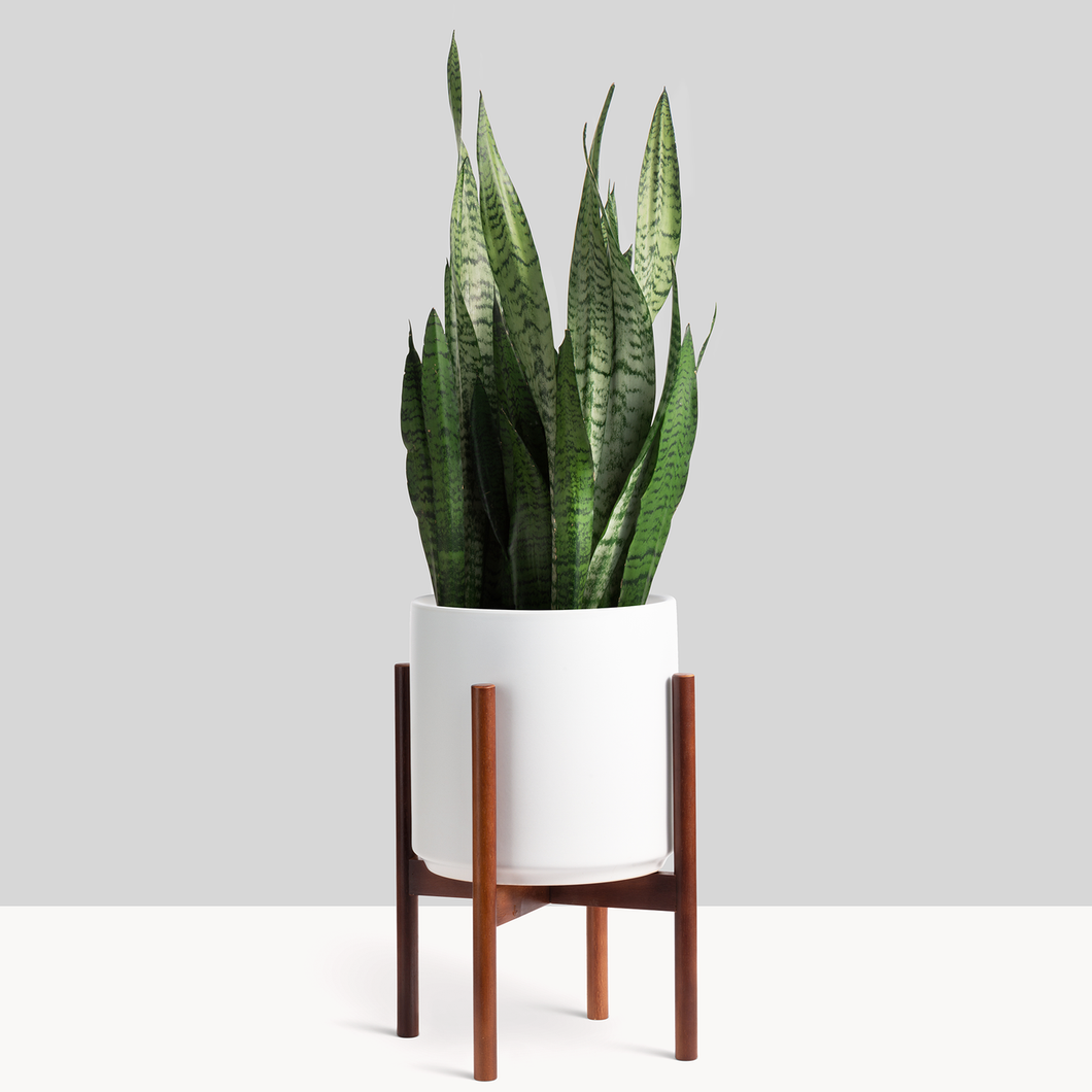 Wood Stand for 10