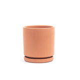 Load image into Gallery viewer, 4.5&quot; Pot with Water Tray

