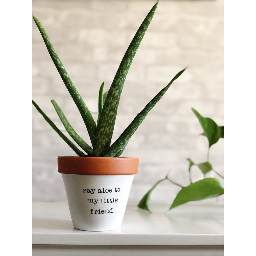 Say Aloe to My Little Friend Planter