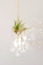 Load image into Gallery viewer, &quot;Salute to the Sun&quot; Crystal Airplant Suncatcher
