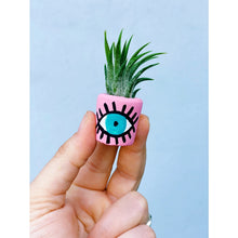Load image into Gallery viewer, Eye See You Mini Pot and Plant
