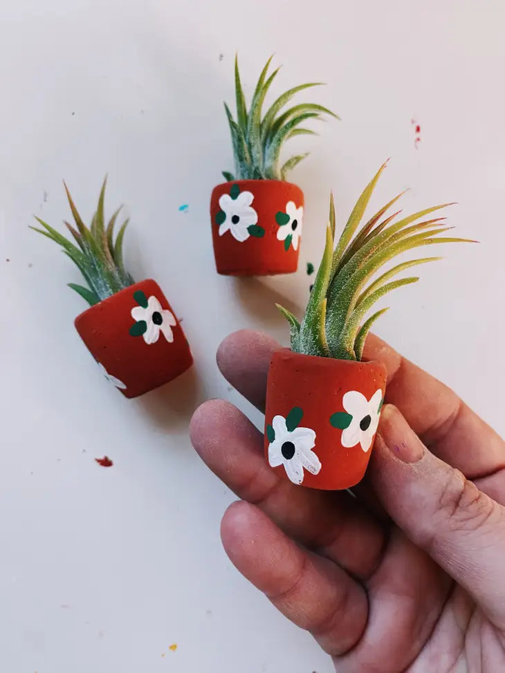 Mini Flower Pot