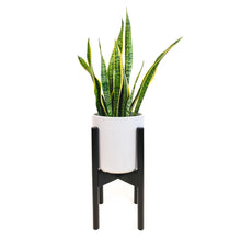 Load image into Gallery viewer, Bamboo Plant Stand
